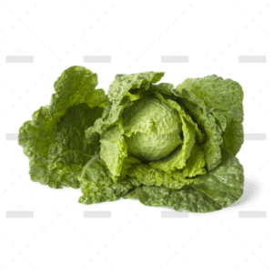 demo-attachment-166-Group-290