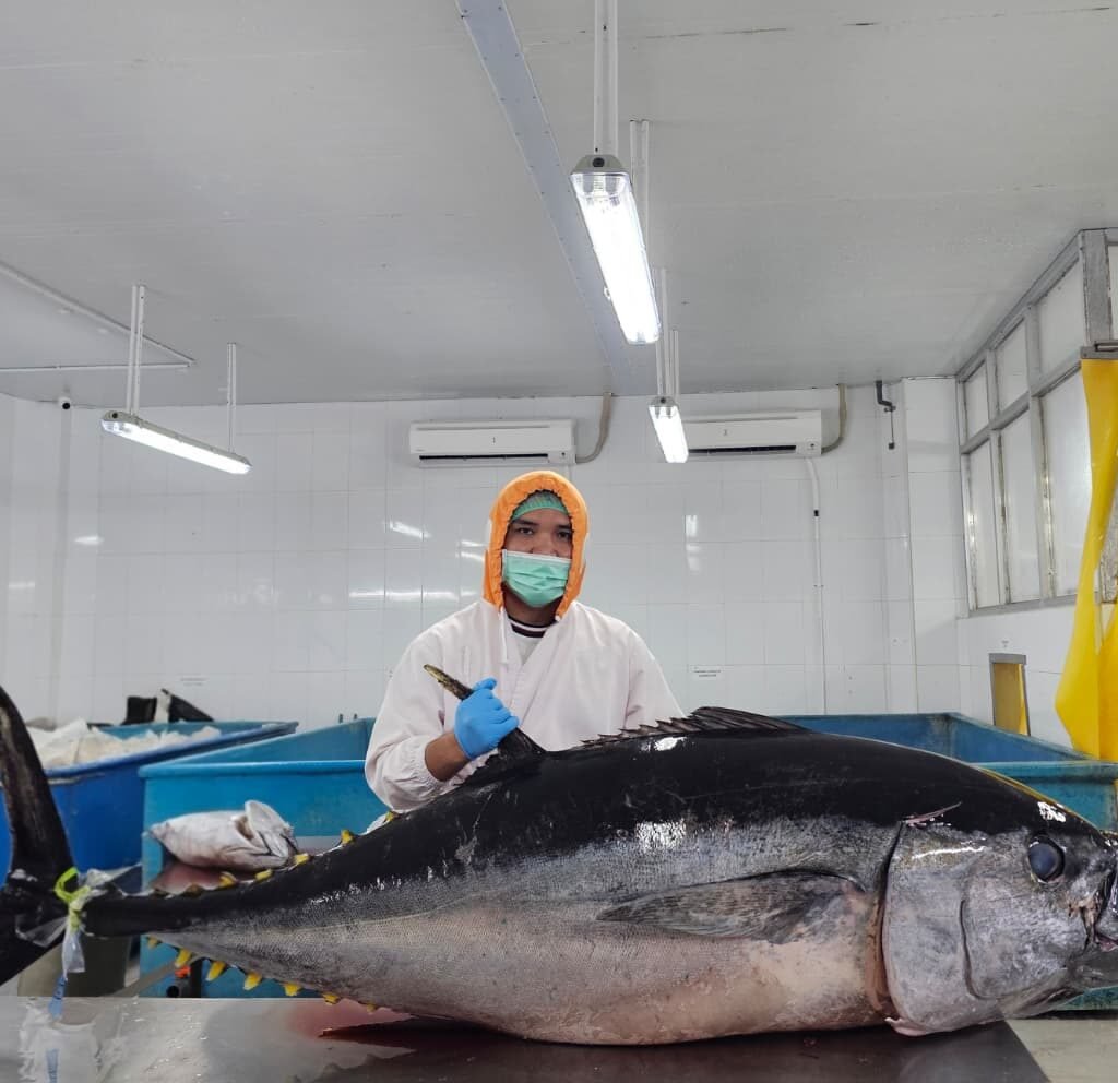 WhatsApp Image 2026-04-08 at 1.54.42 AM